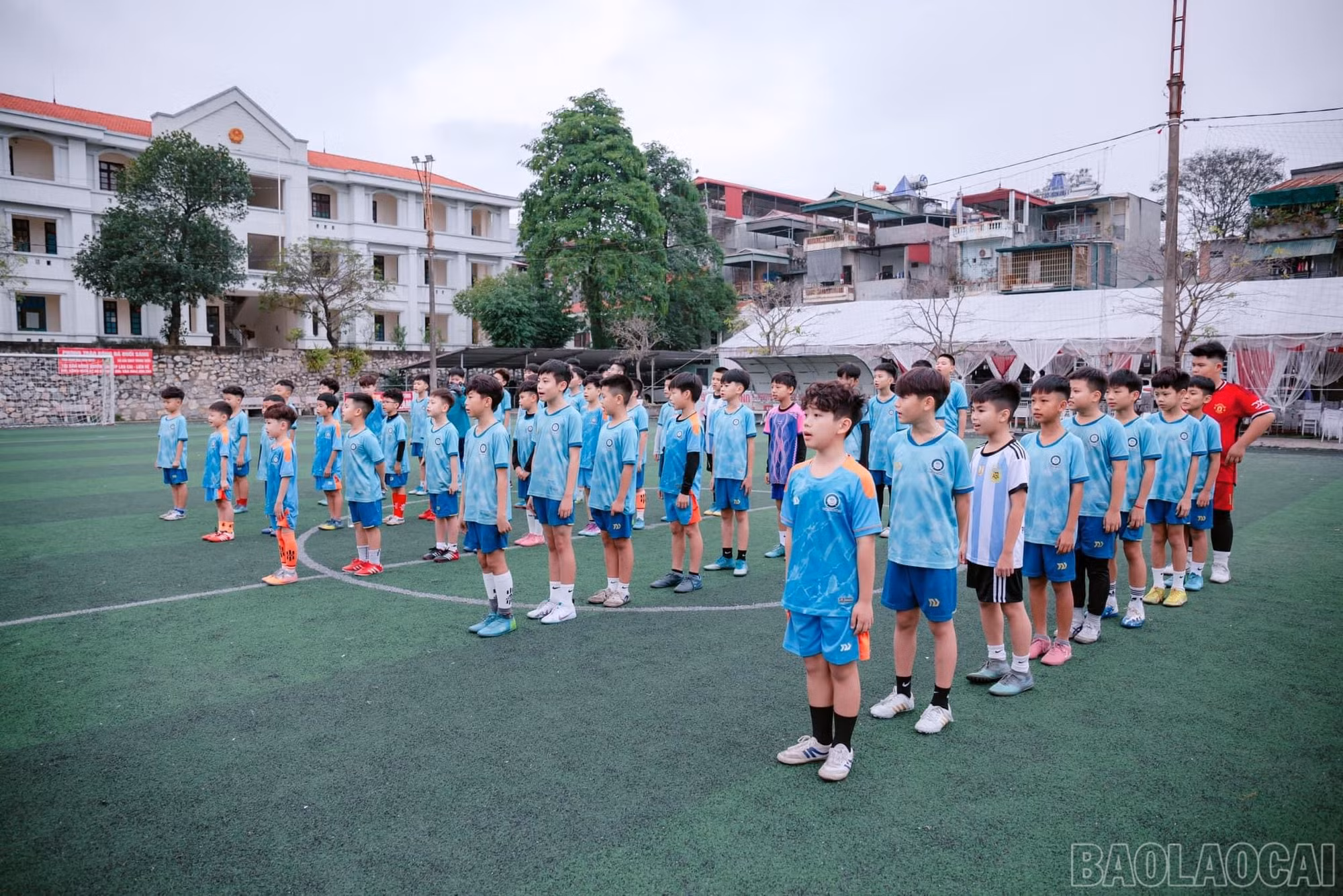 baolaocai-br_91c5750a-85b4-4bd3-91b5-5dfbf70ec9c8.jpg