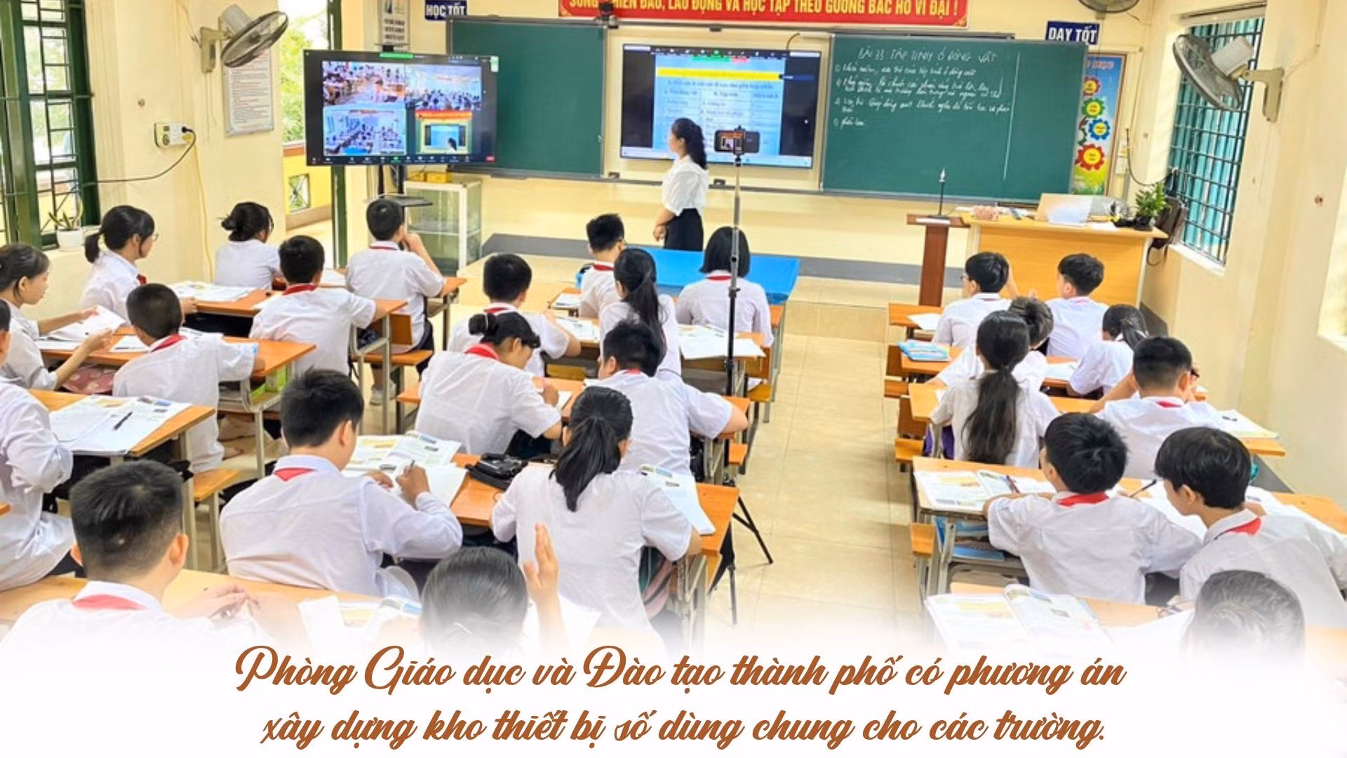 33490ba7-6826-41ef-9860-20aadcd0e33d-4887.jpeg