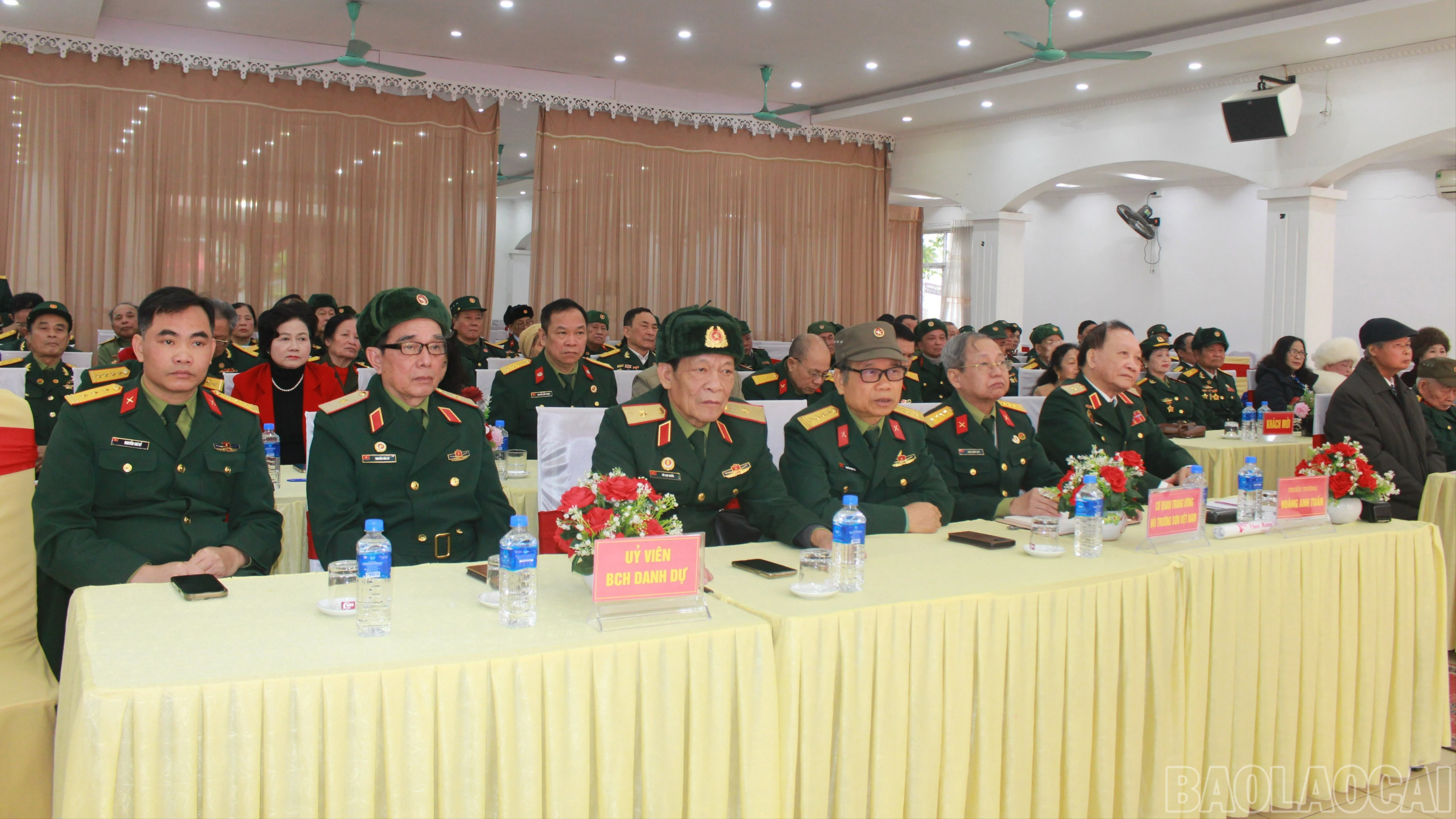 baolaocai-br_img-4260-9780.jpg