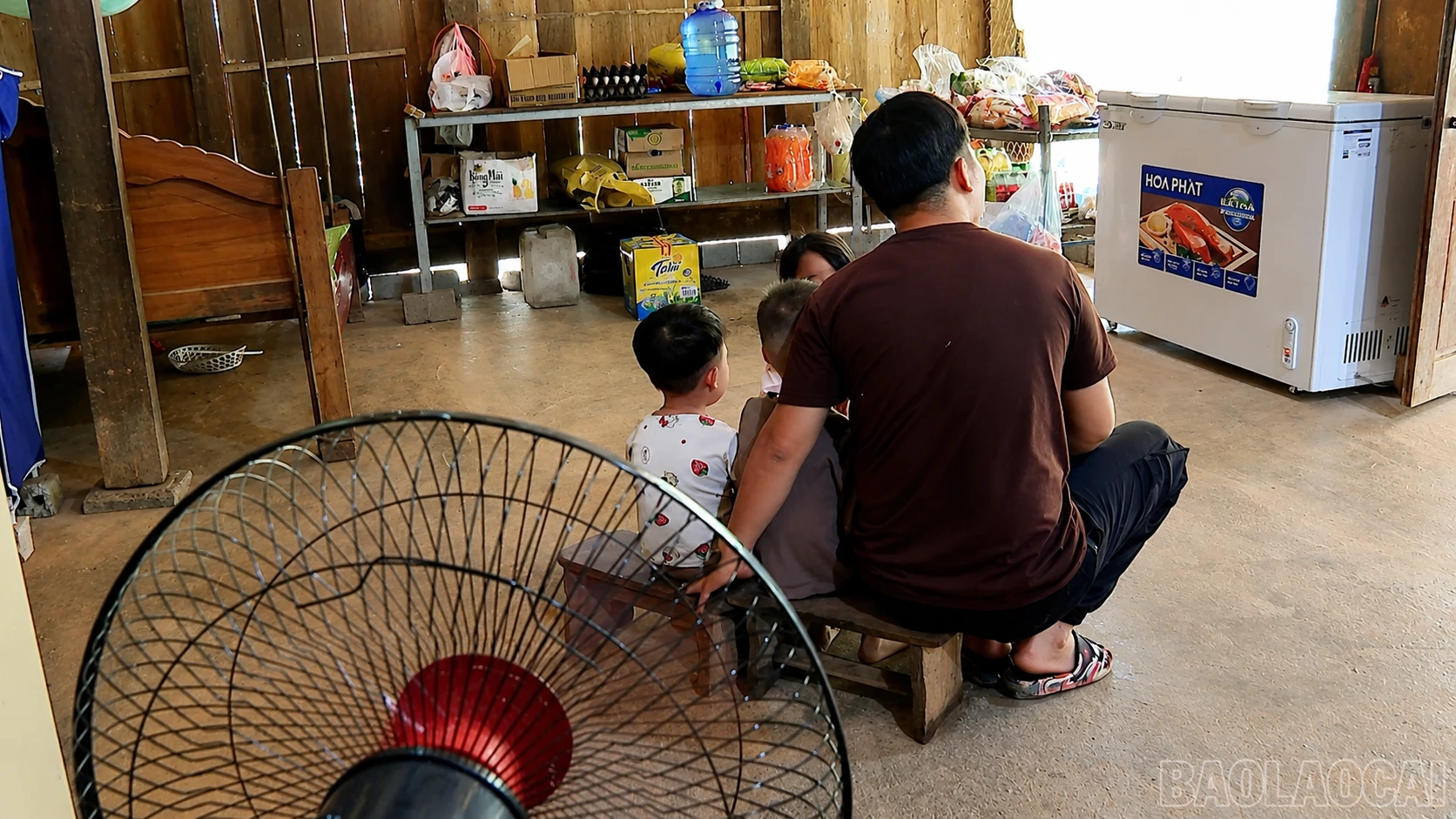 baolaocai-br_chatgpt-image-20-48-38-16-thg-8-2026.png