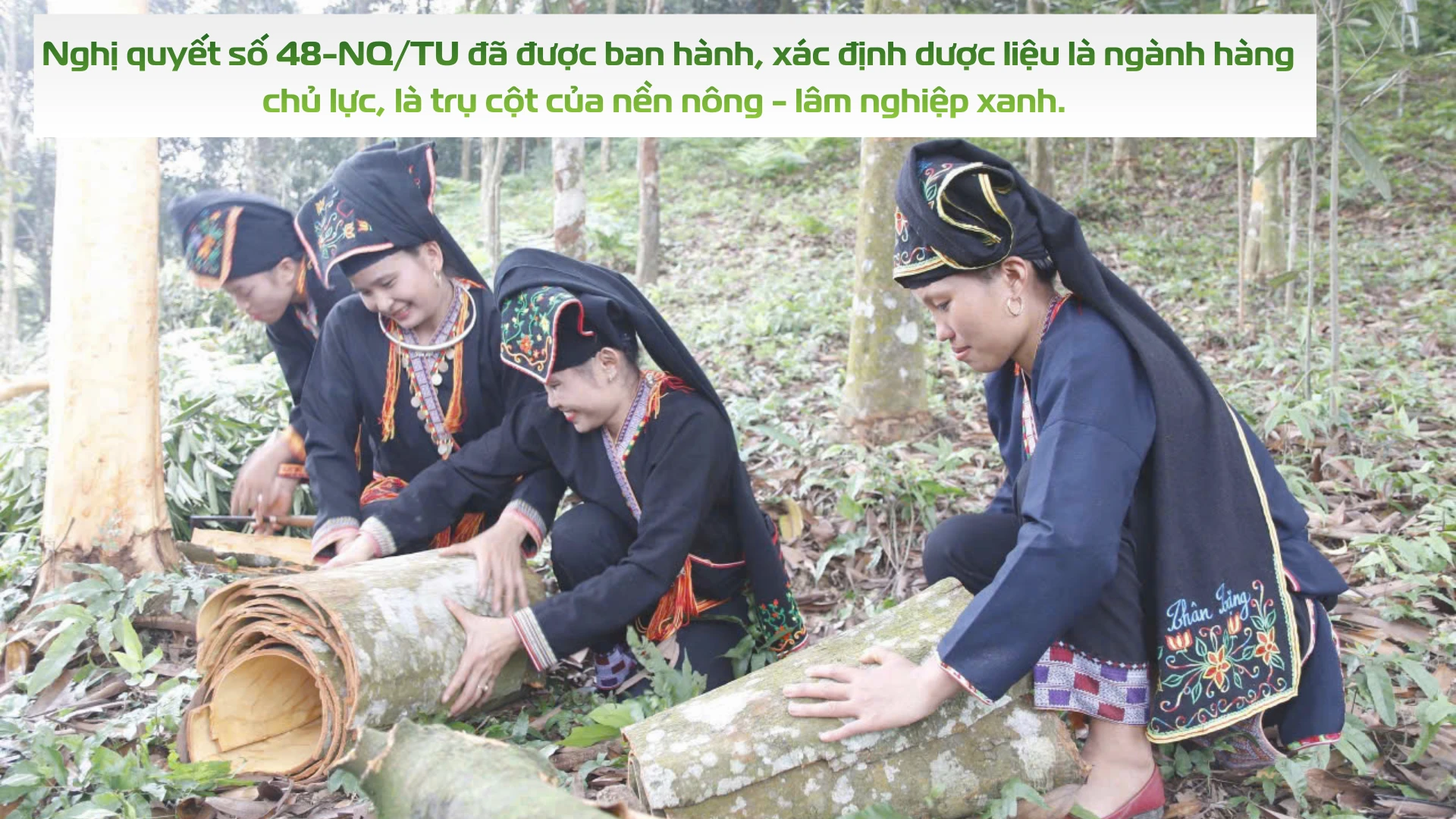 tam-nhin.png