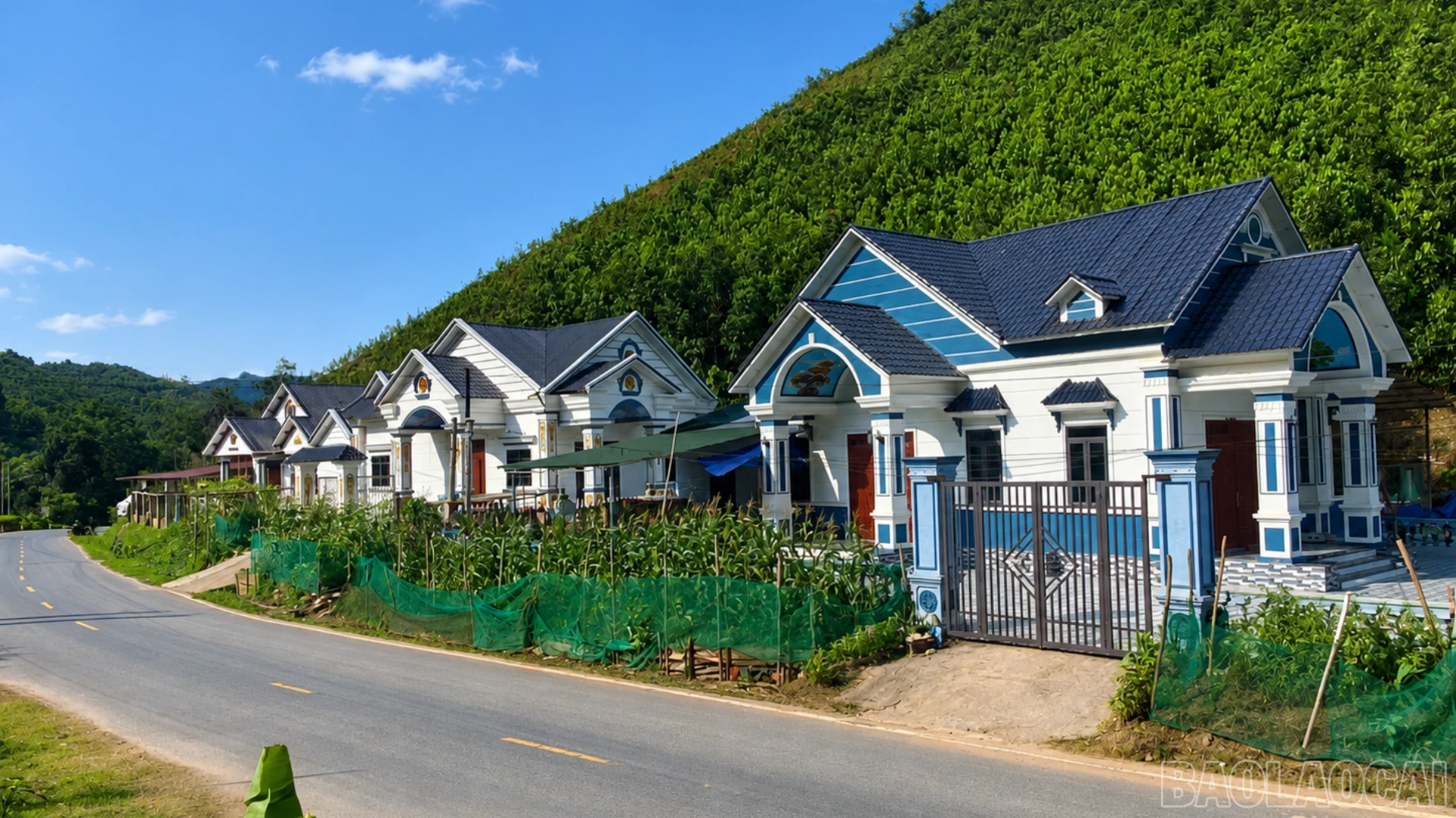 baolaocai-br_thiet-ke-chua-co-ten-56.png