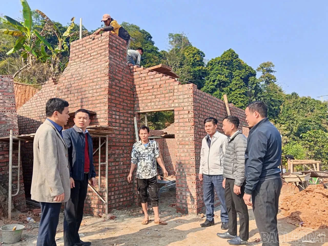 baolaocai-br_z7459296363308-8f163025e3852ead277add3205b55284.jpg