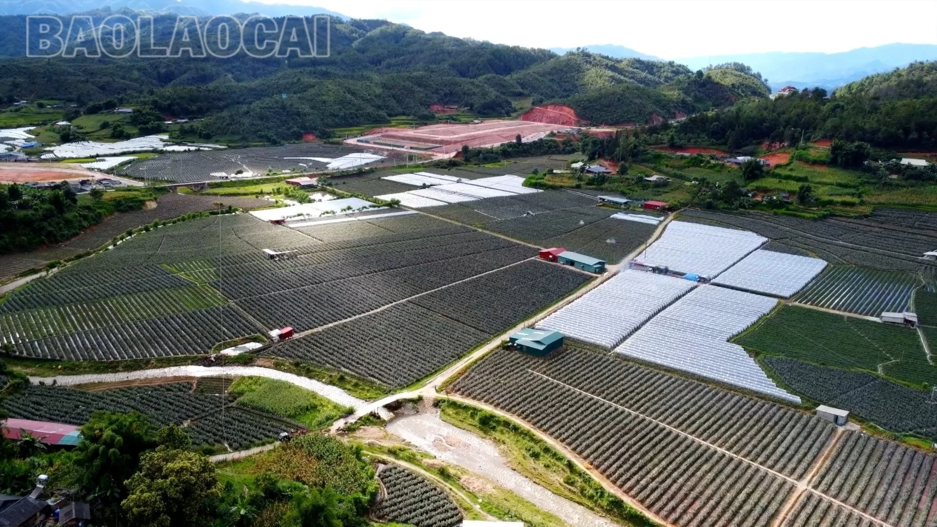 Nhiều vùng sản xuất tập trung đã được hình thành như: 75 ha hoa hồng, 30 ha nấm, ớt, rau màu các loại và hơn 90 ha cây ăn quả ôn đới.