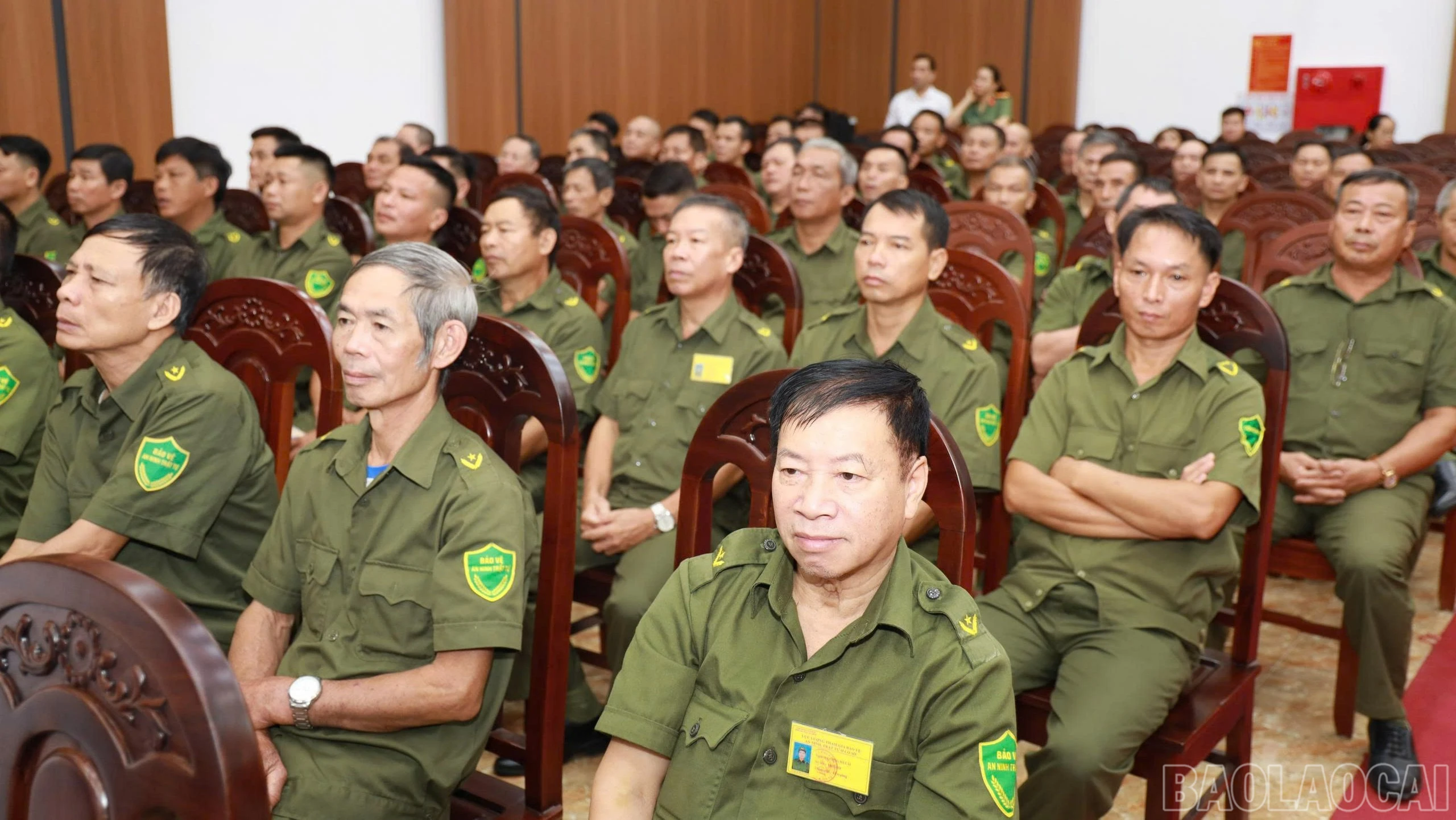 baolaocai-br_1784865906815-4741001574122065484-4741001574122065484-13ef56613ae7315a52da8fed74f0bd1a-7007.jpg