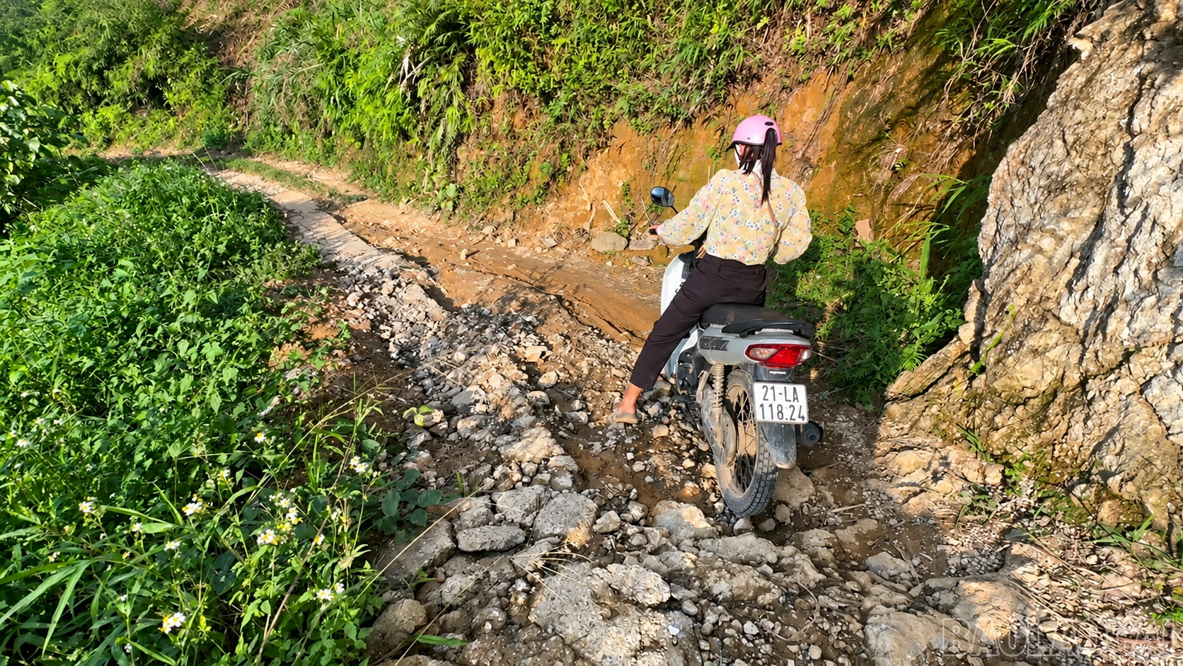 baolaocai-br_chatgpt-image-22-31-14-26-thg-9-2026.png