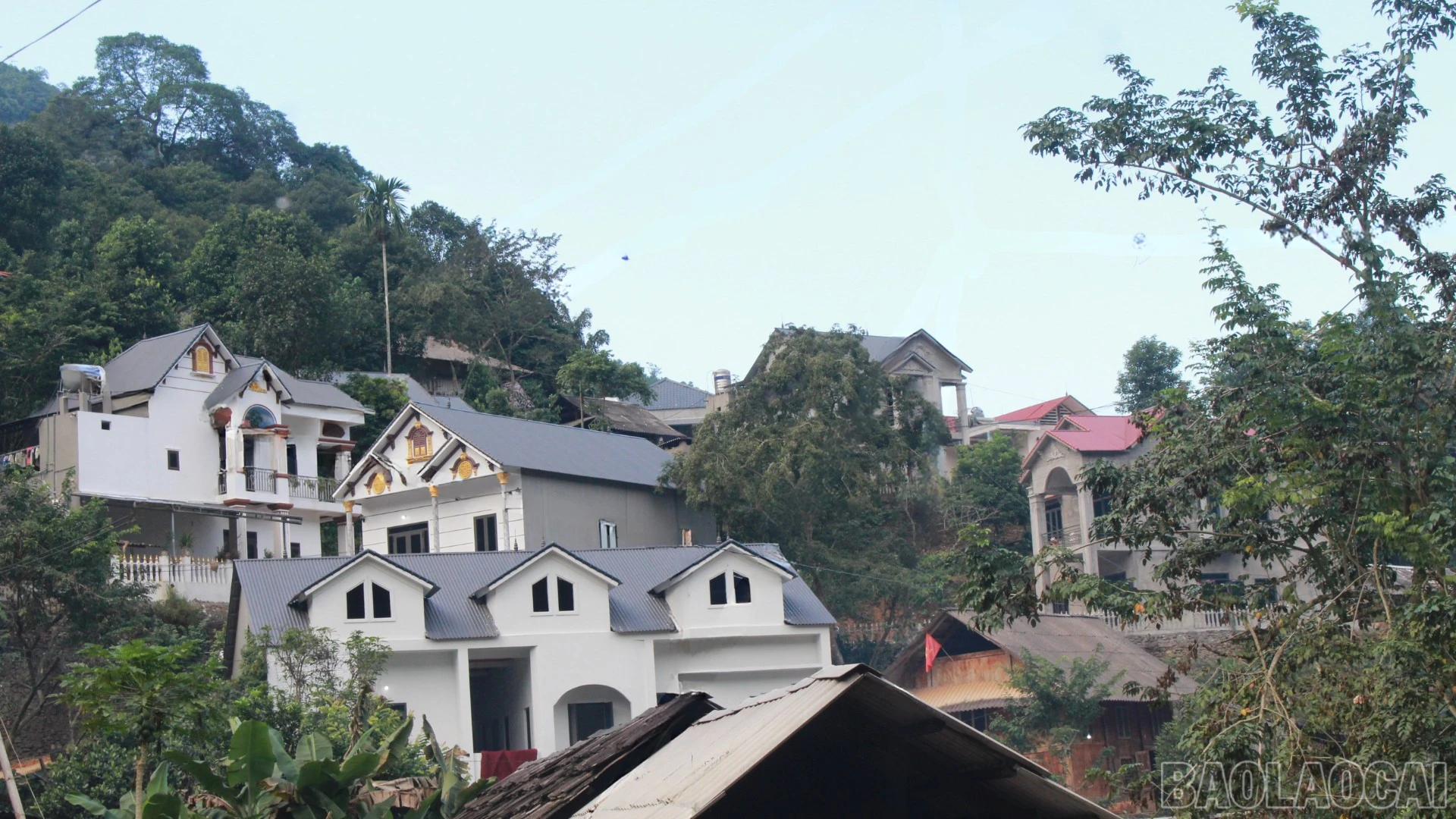 baolaocai-br_thiet-ke-chua-co-ten-11.png