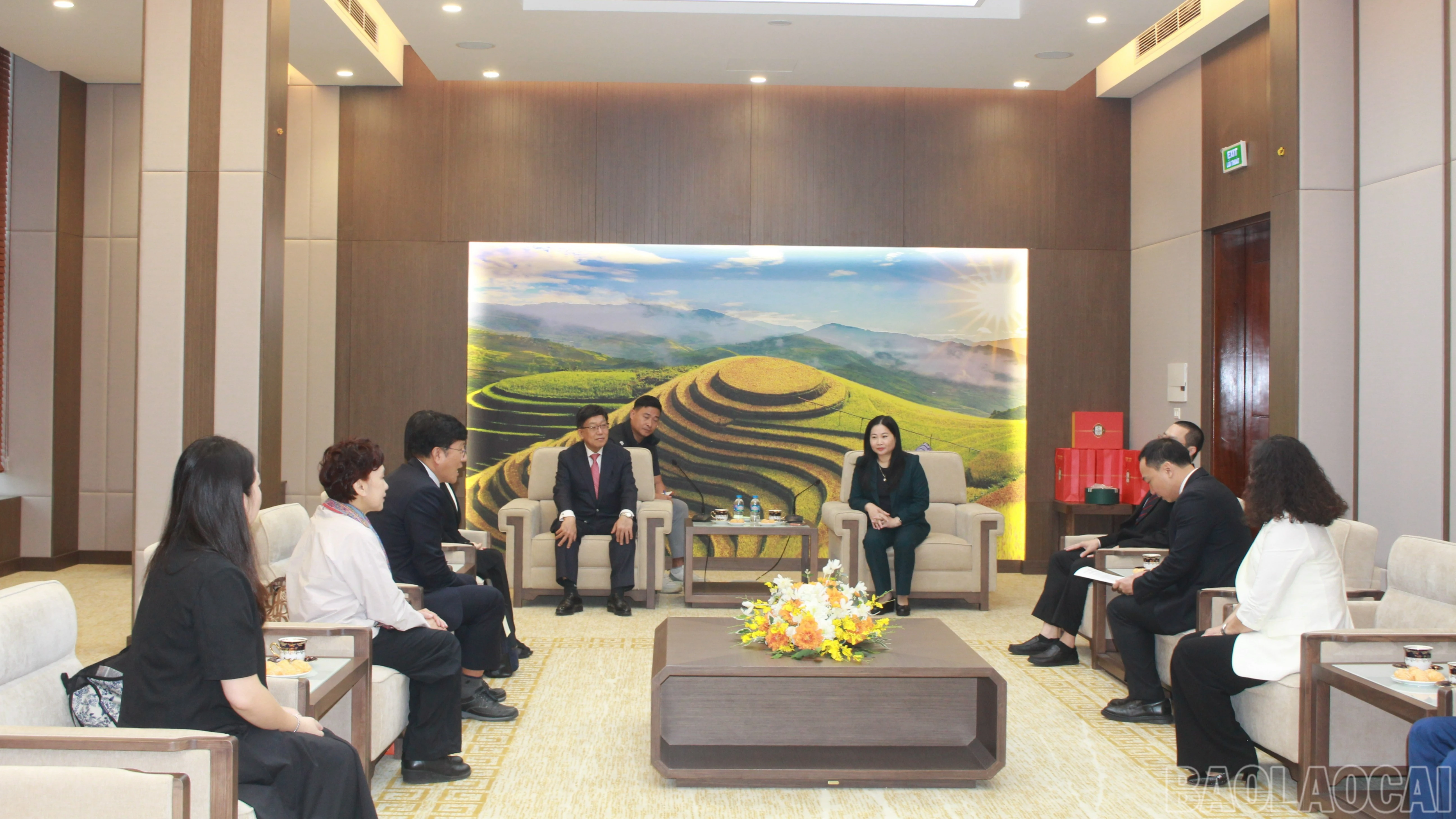 baolaocai-br_img-3239-9169.jpg