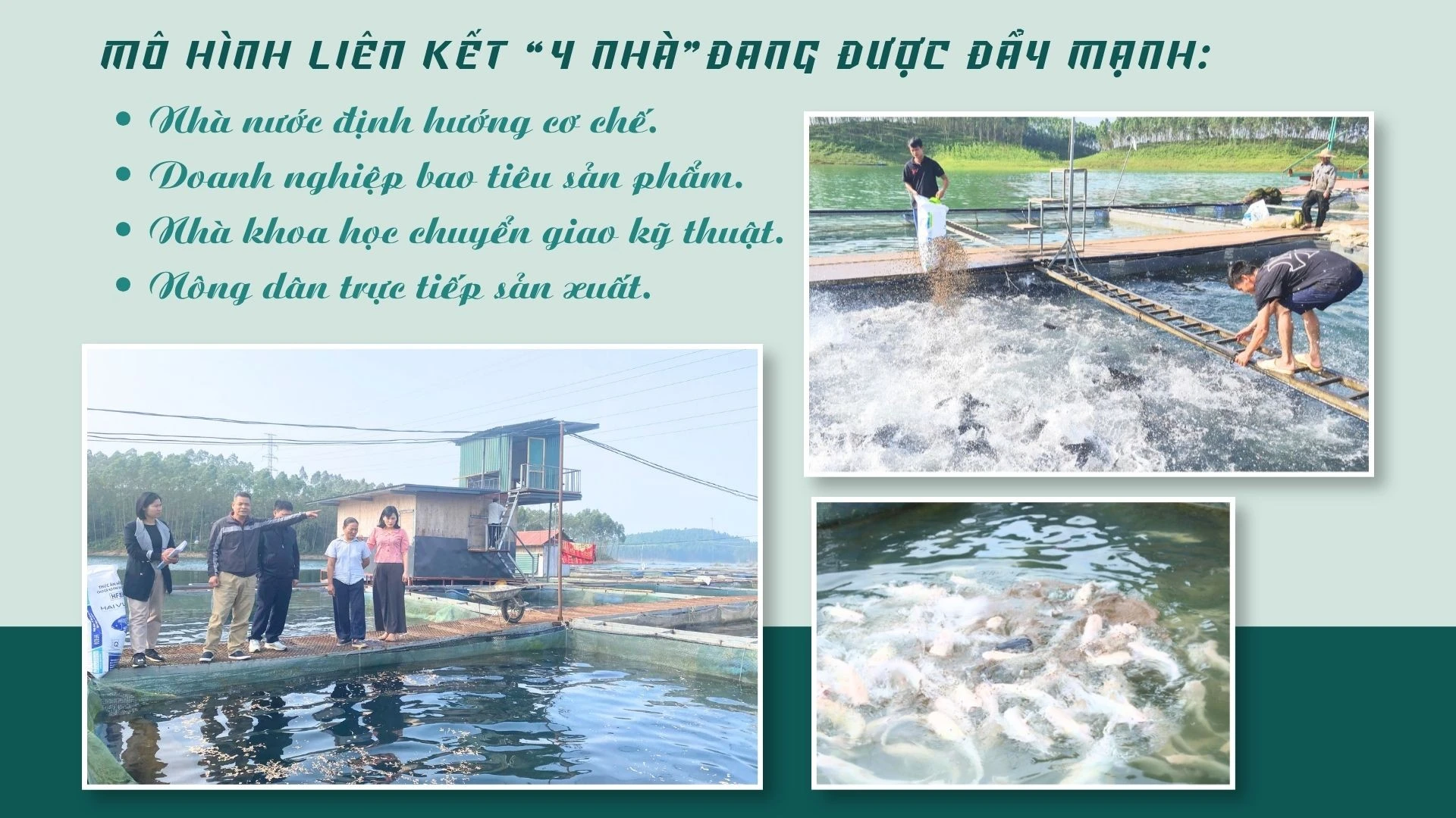 muc-tieu-chung-cua-toan-tinh-dat-san-luong-hon-7500-tan-voi-gia-tri-khoang-280-ty-dong-moi-nam-tu-kinh-te-thuy-san.jpg