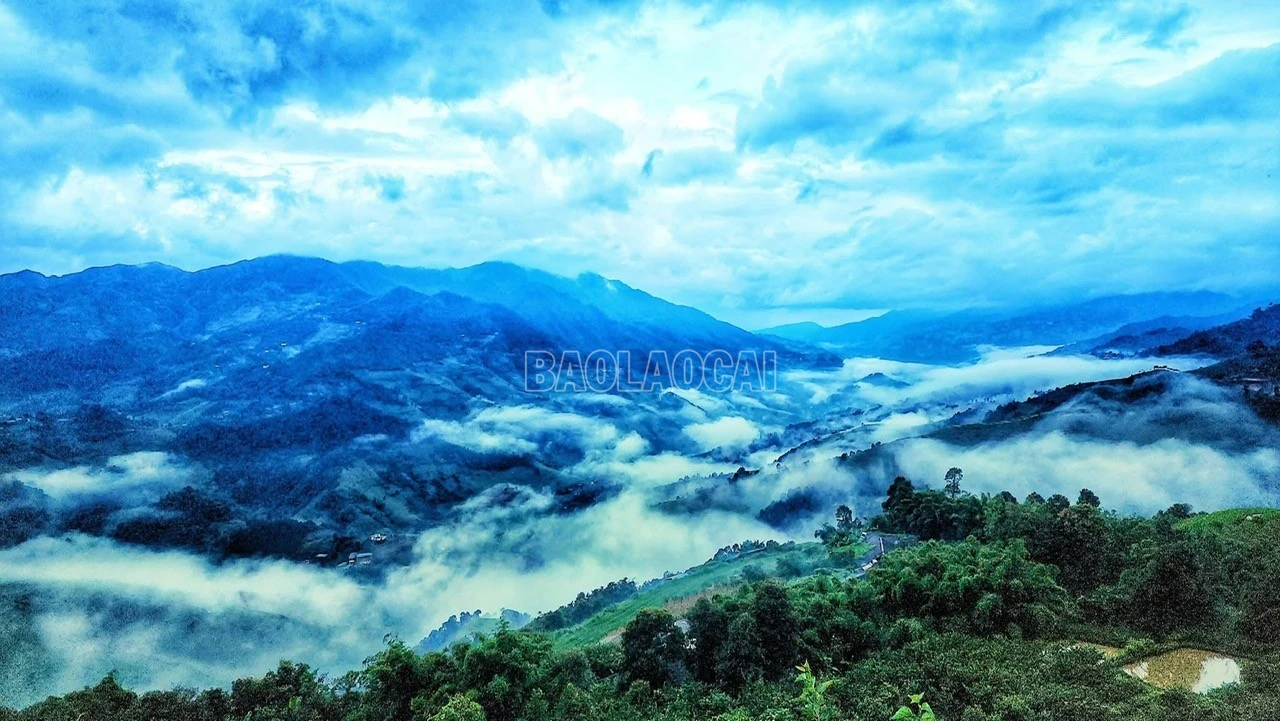 baolaocai-c_z6957566865103-7c142bfa8a0f80fea6aeb540fdb26e22.jpg
