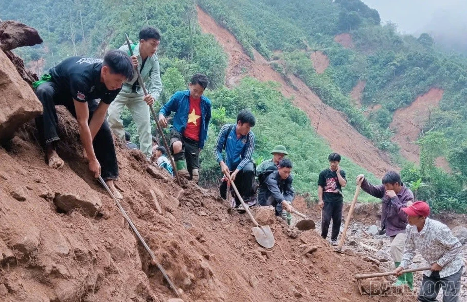 baolaocai-br_z7413526209035-37188fd28a3360ca54ed37af7f67b480.jpg