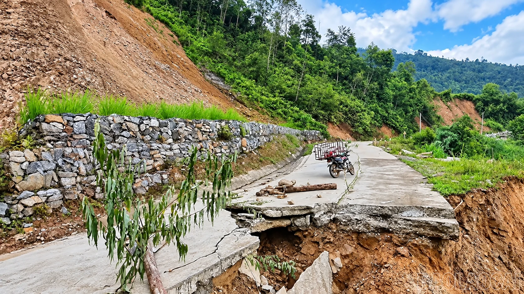 baolaocai-br_chatgpt-image-17-06-29-24-thg-9-2026.png