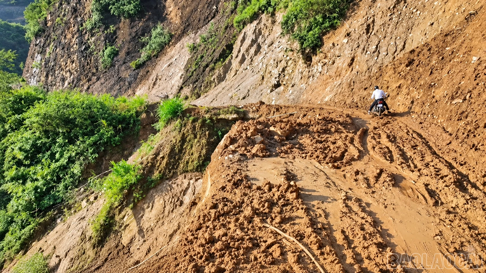 baolaocai-br_chatgpt-image-17-07-51-24-thg-9-2026.png