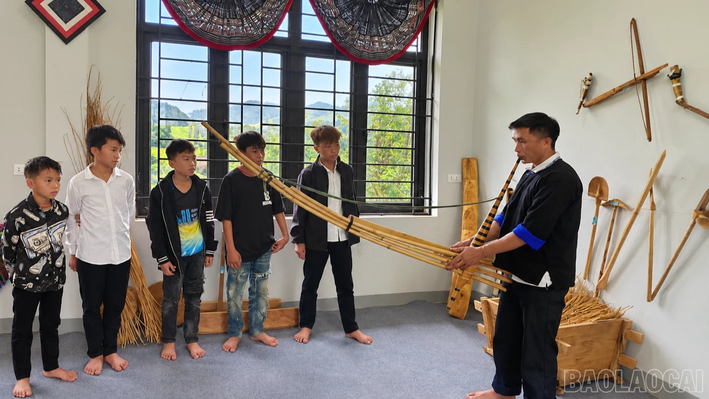 baolaocai-br_chatgpt-image-17-59-51-14-thg-9-2026-8083.png