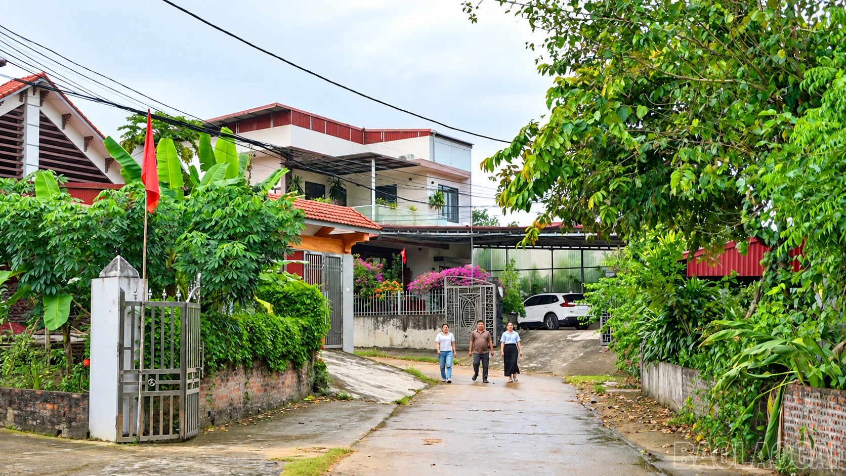 baolaocai-br_chatgpt-image-22-19-24-29-thg-9-2026.png