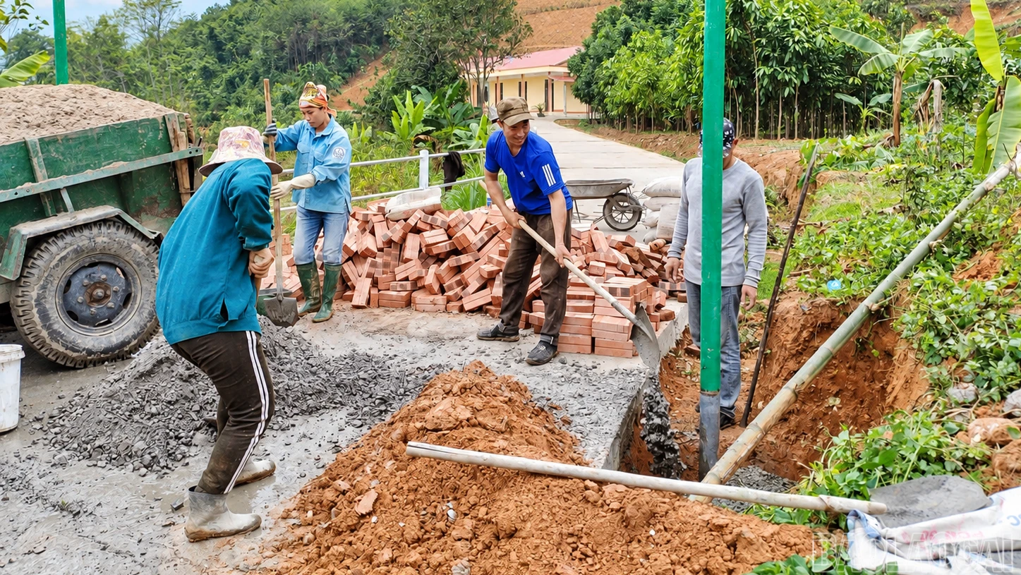baolaocai-br-chatgpt-image-10-08-44-30-thg-9.png