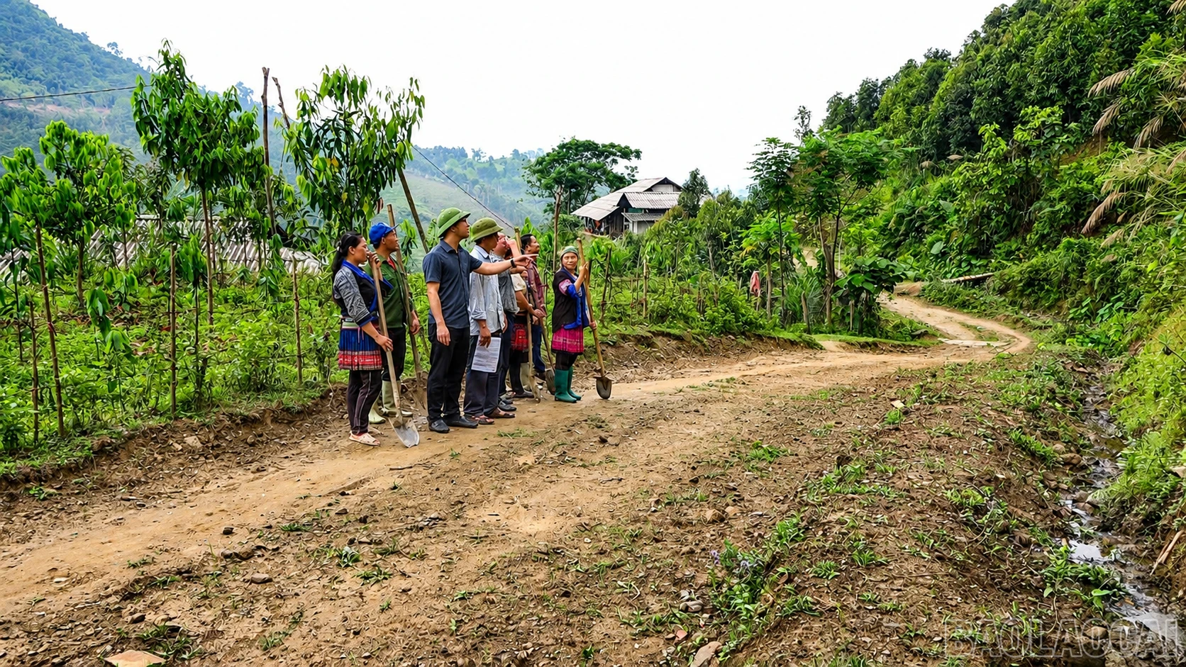 baolaocai-br_chatgpt-image-21-16-31-4-thg-6-2026-2.png