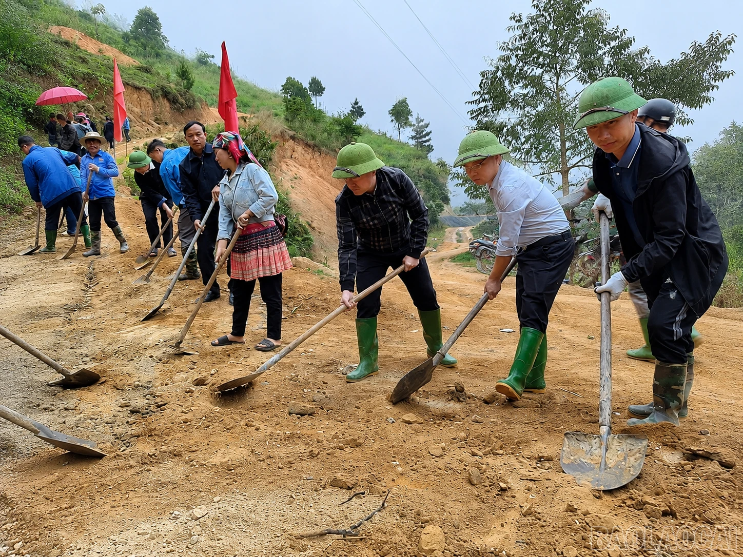 baolaocai-br_chatgpt-image-22-32-25-4-thg-6-2026.png