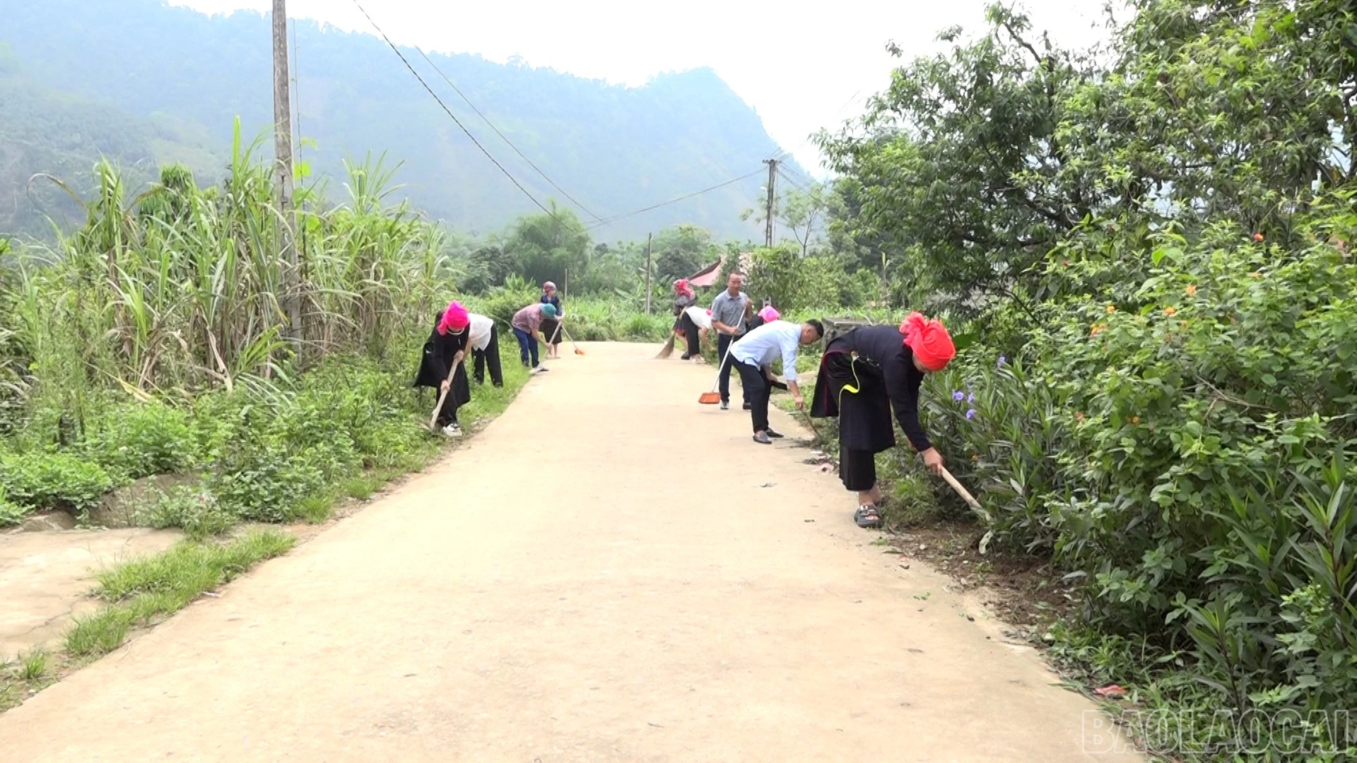 baolaocai-br_phong-du00-11-41-18still006.jpg