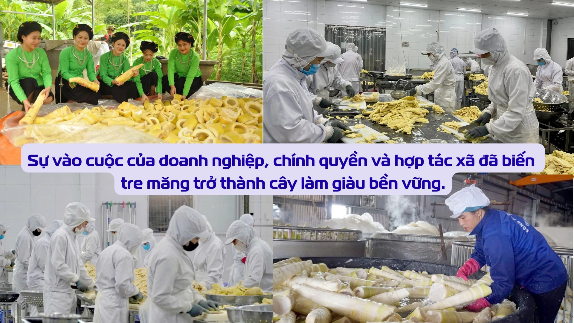 giai-bai-toan-tieu-thu.png