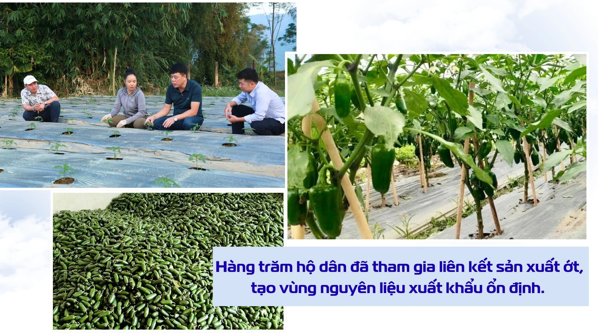giai-bai-toan-tieu-thu-1.png