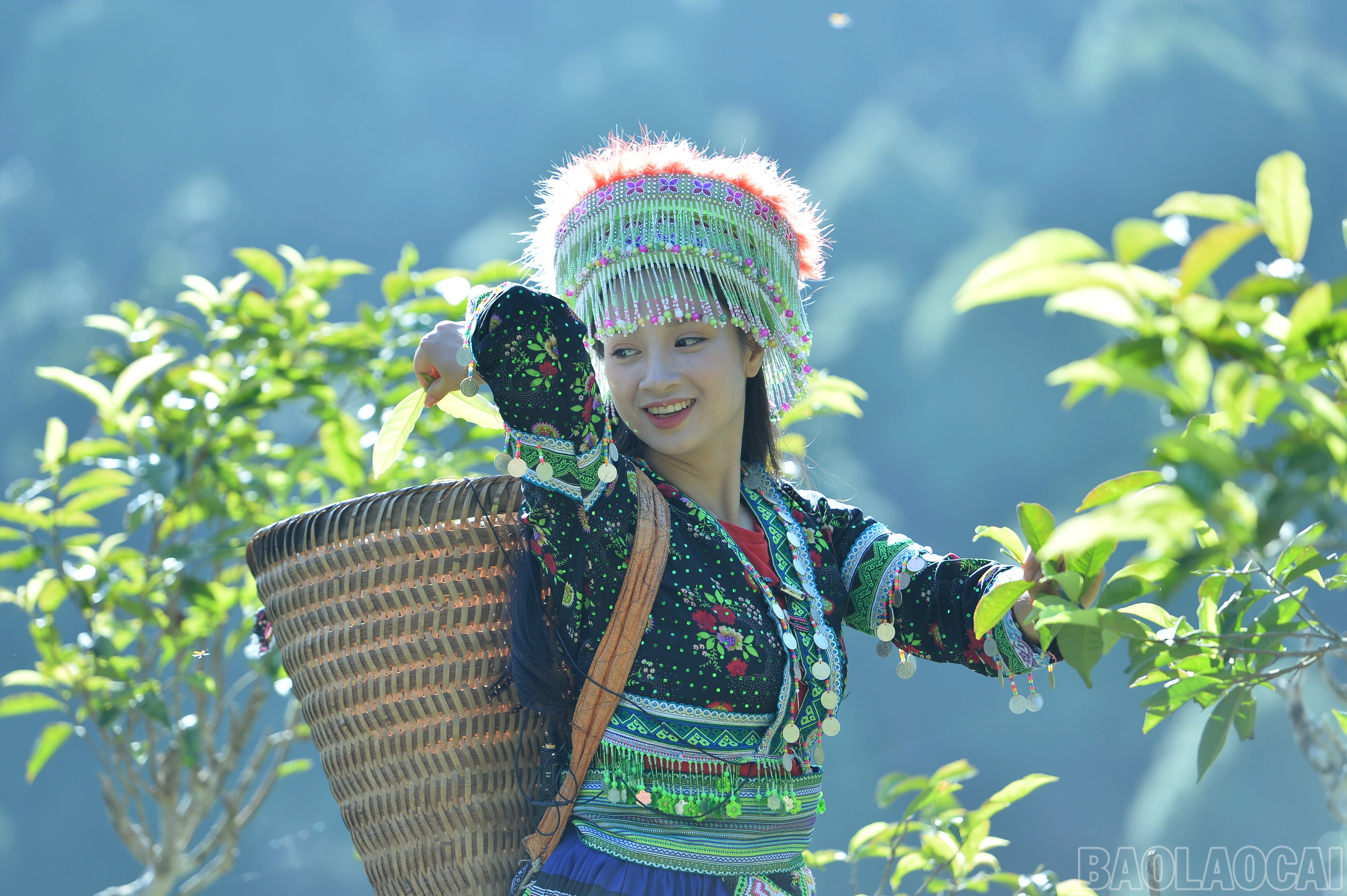 baolaocai-br_dsc-5881.jpg