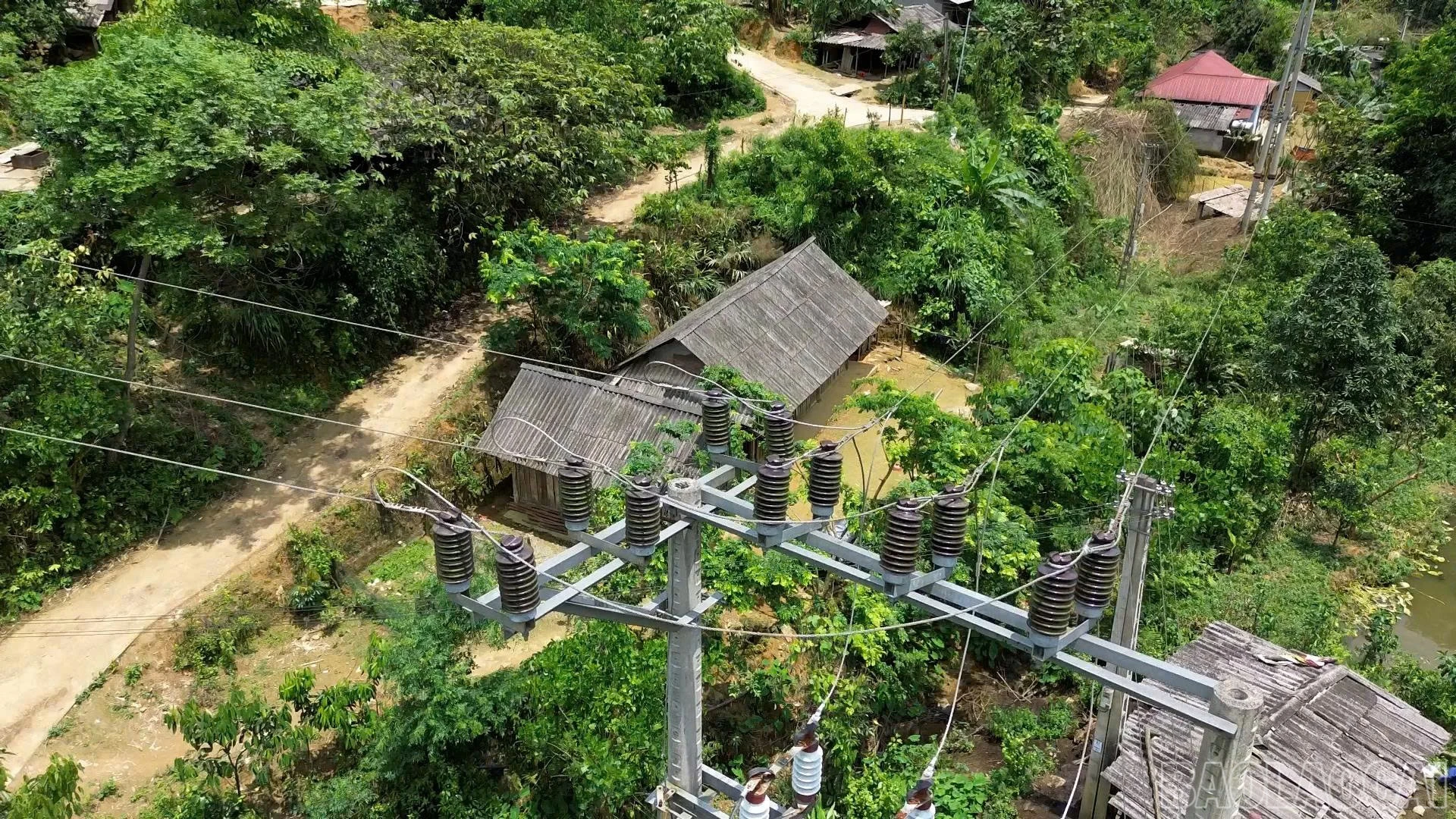 baolaocai-br_z7782920352966-69628da549b4e565efdb231b568f9e57.jpg
