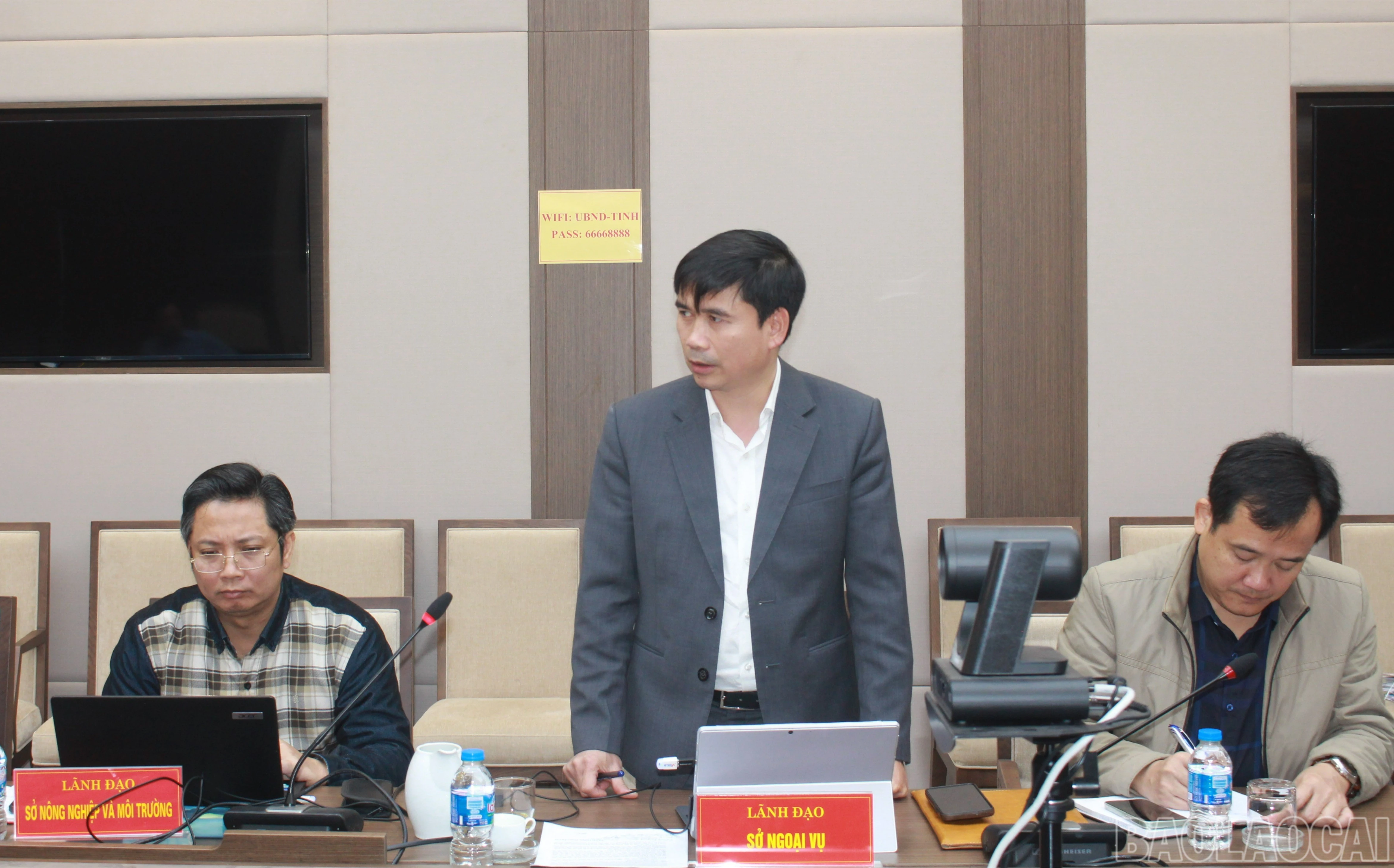 baolaocai-br_img-3378-5530.jpg