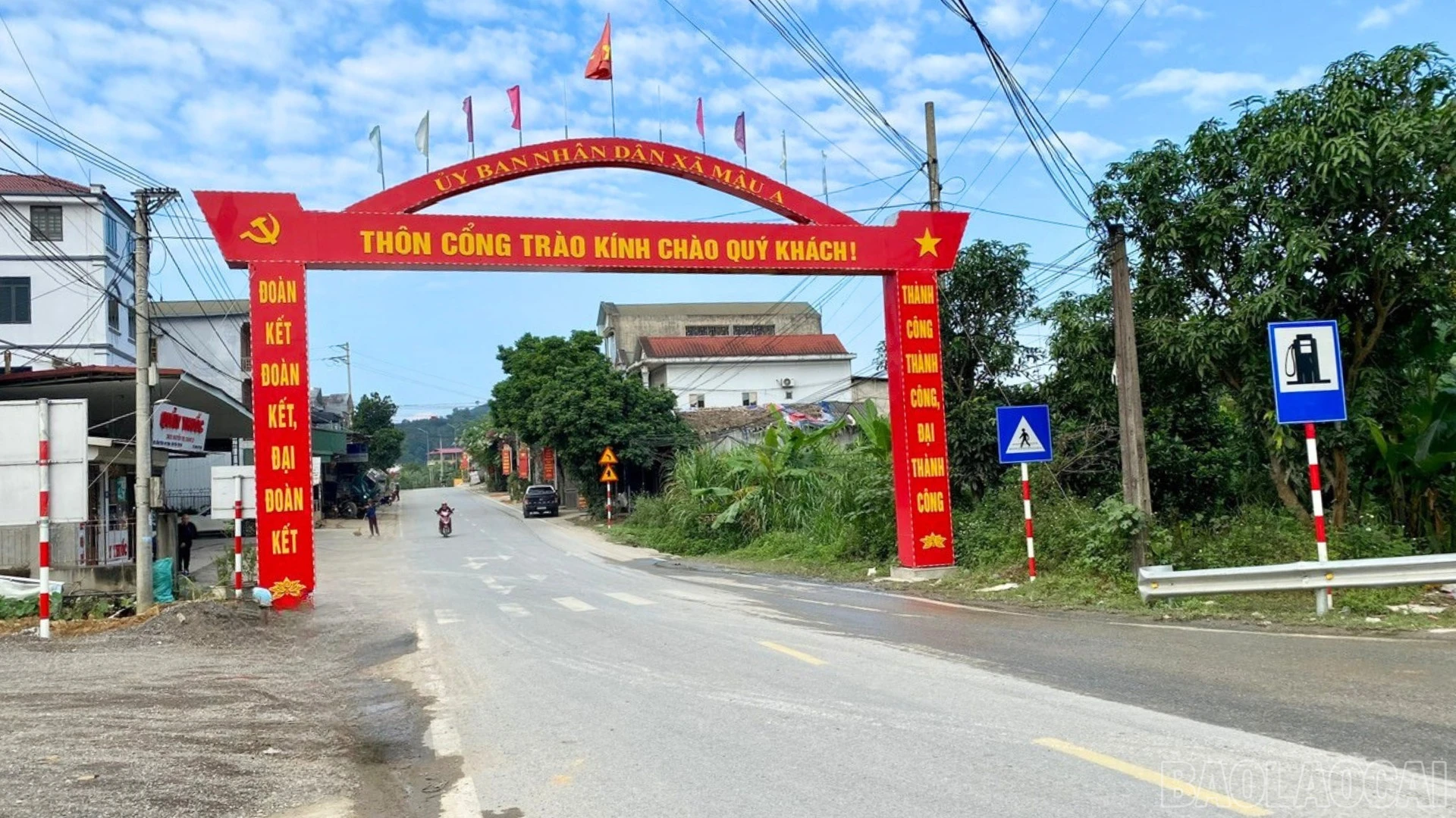 baolaocai-br_1-9108.png