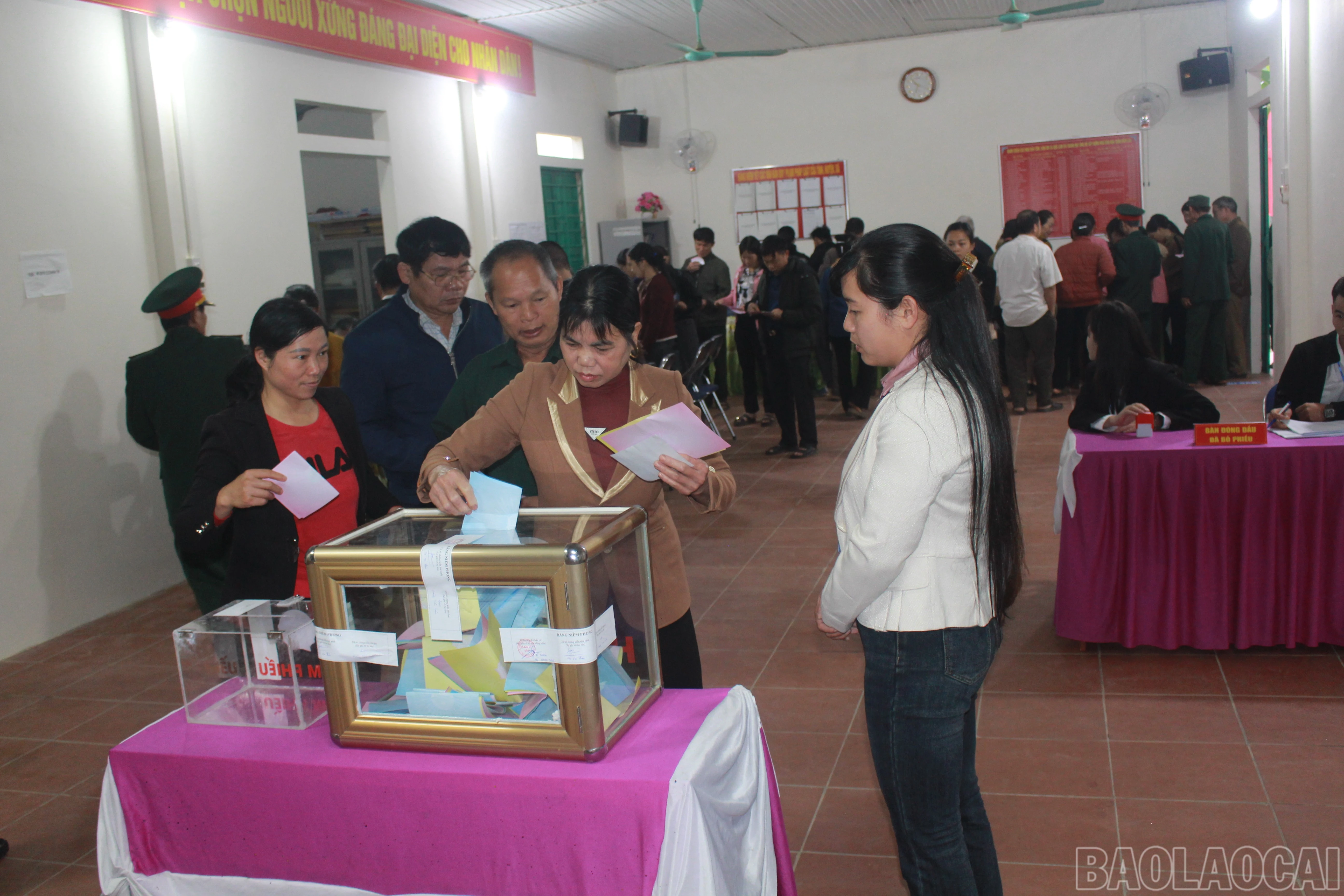 baolaocai-br_img-5123.jpg