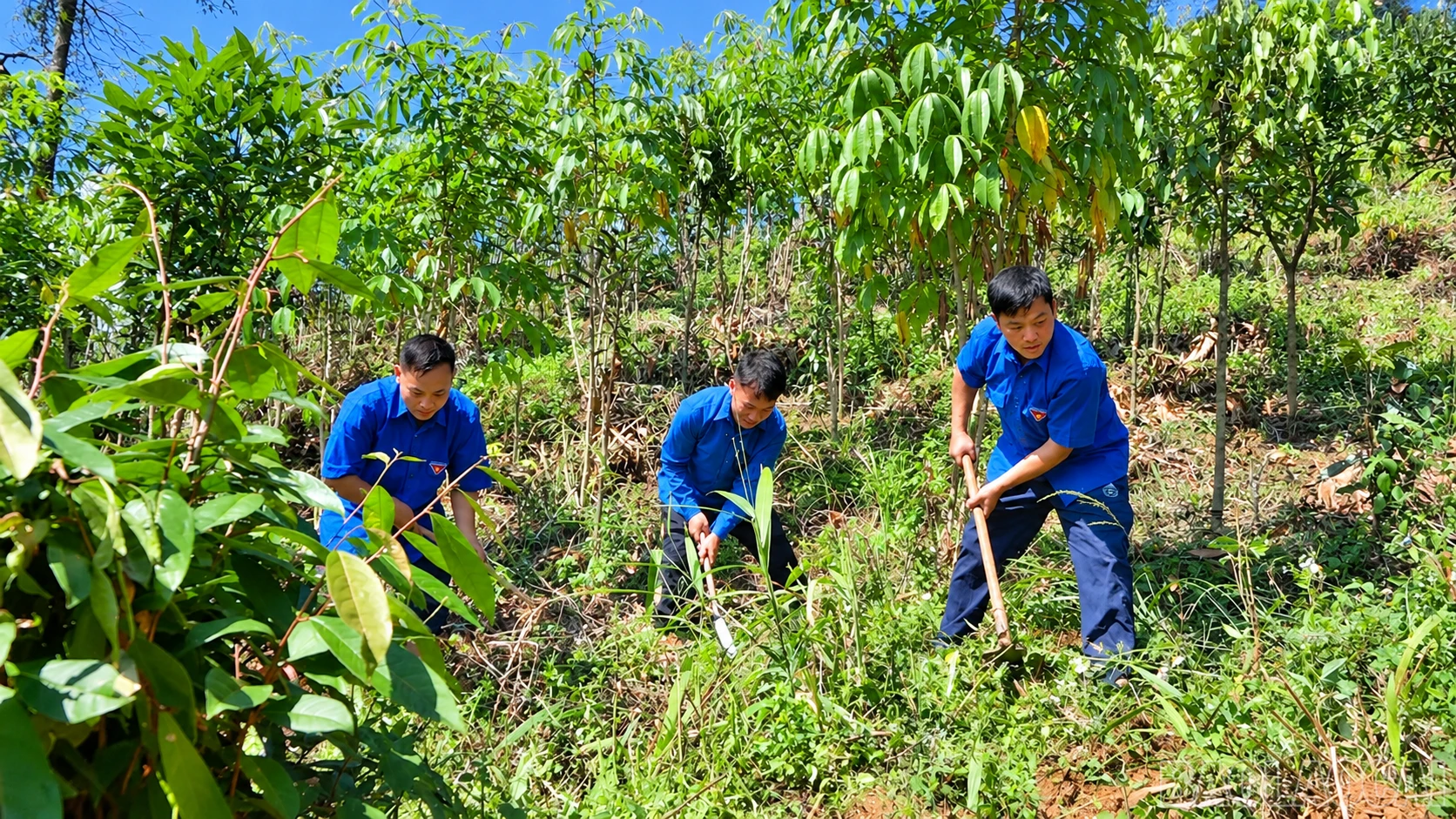 baolaocai-br_ba-nguoi-trong-cay-tren-doi-xanh.png
