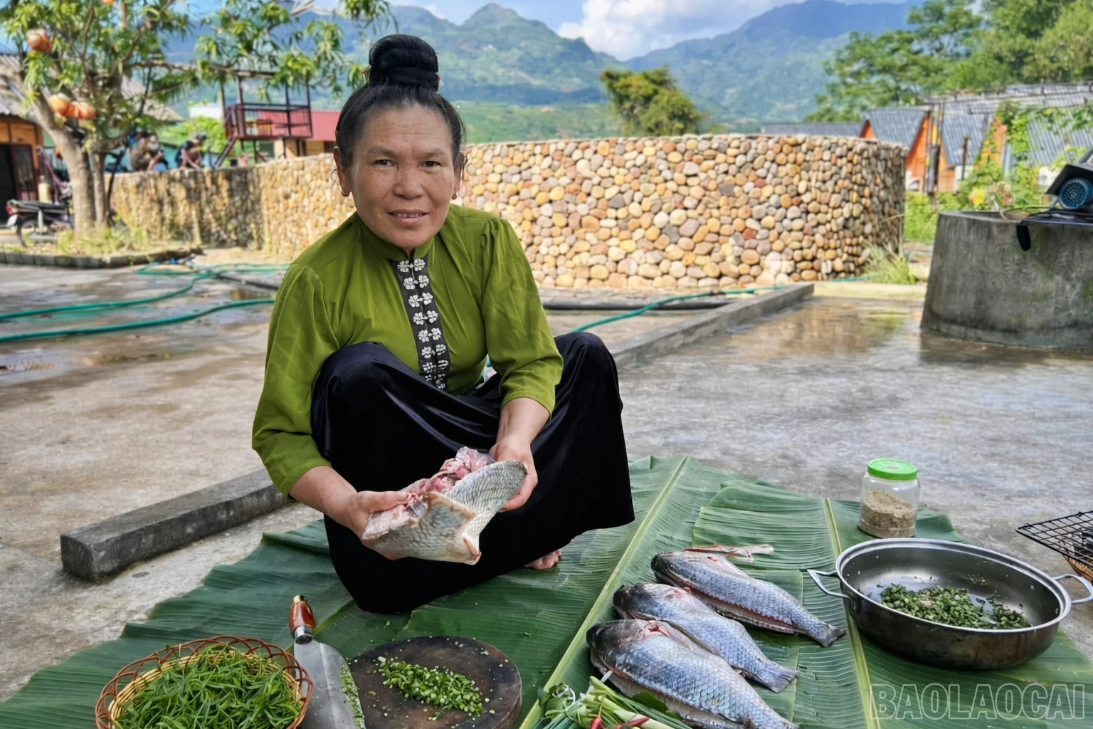 baolaocai-br_chatgpt-image-23-43-59-2-thg-3-2026.png
