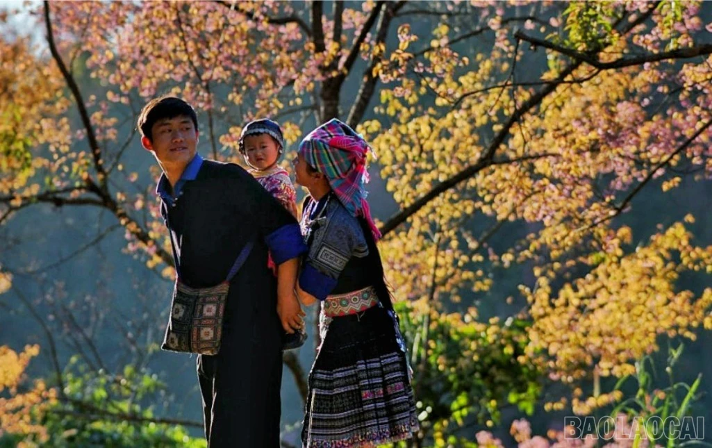 baolaocai-br_4-2-1-6058.jpg