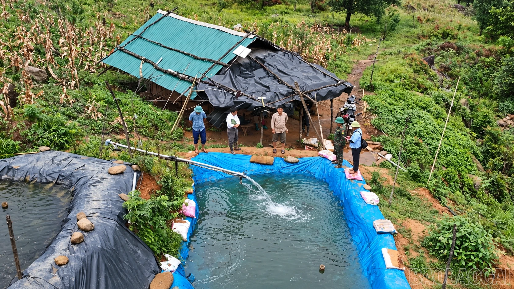 baolaocai-br_khao-sat-ao-ca-giua-doi-xanh.png