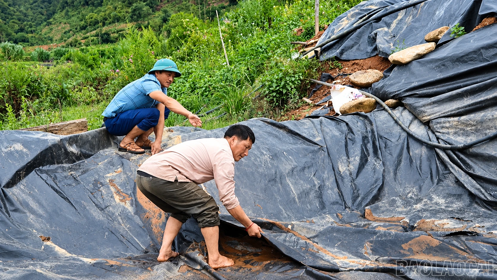 baolaocai-br_nhung-nguoi-tho-lot-ho-tren-doi-xanh.png