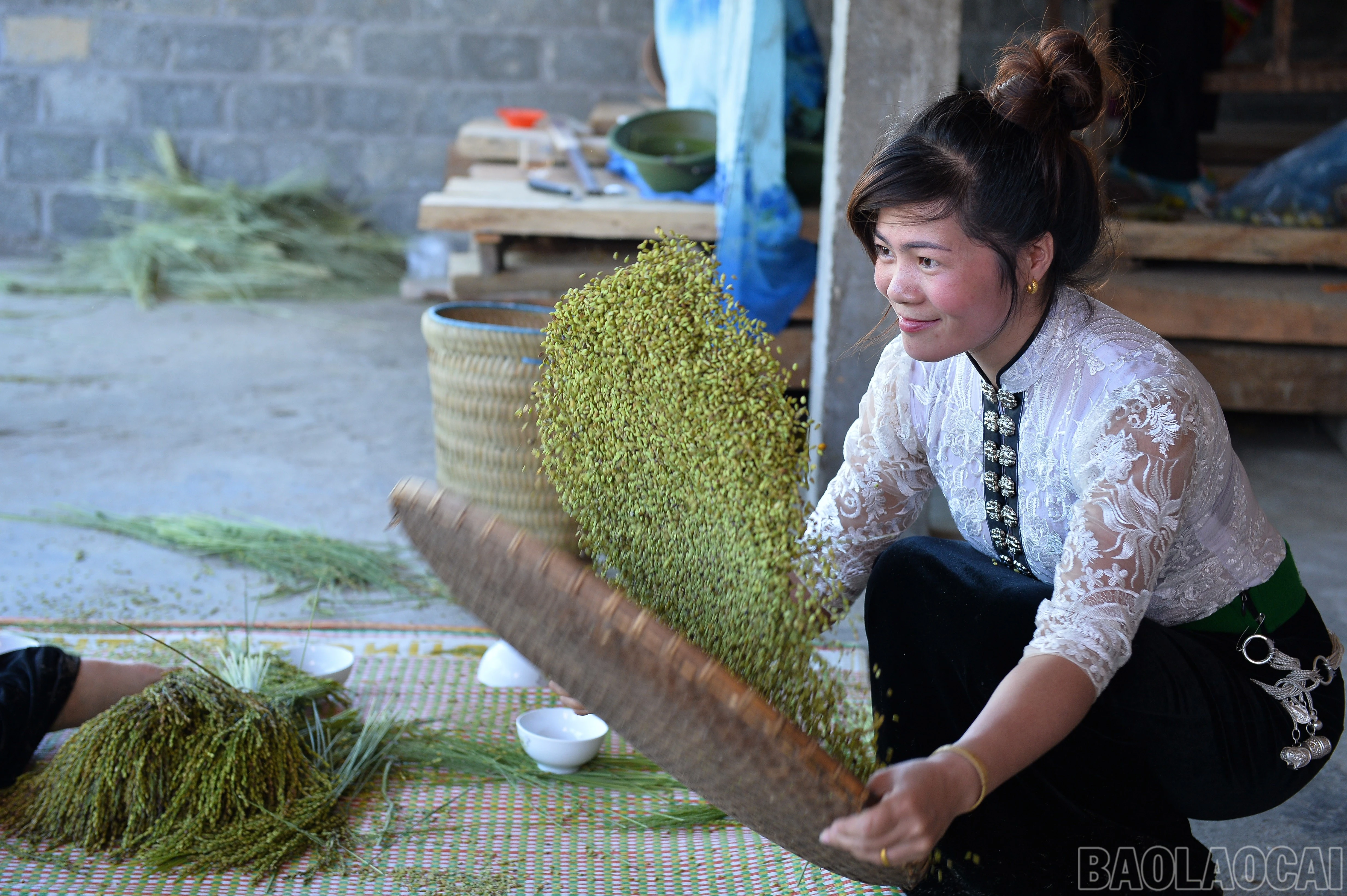 baolaocai-br_dsc-6829.jpg