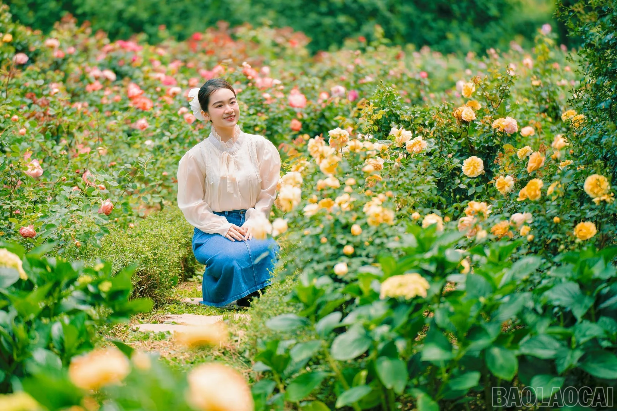 baolaocai-br_img-5088.jpg