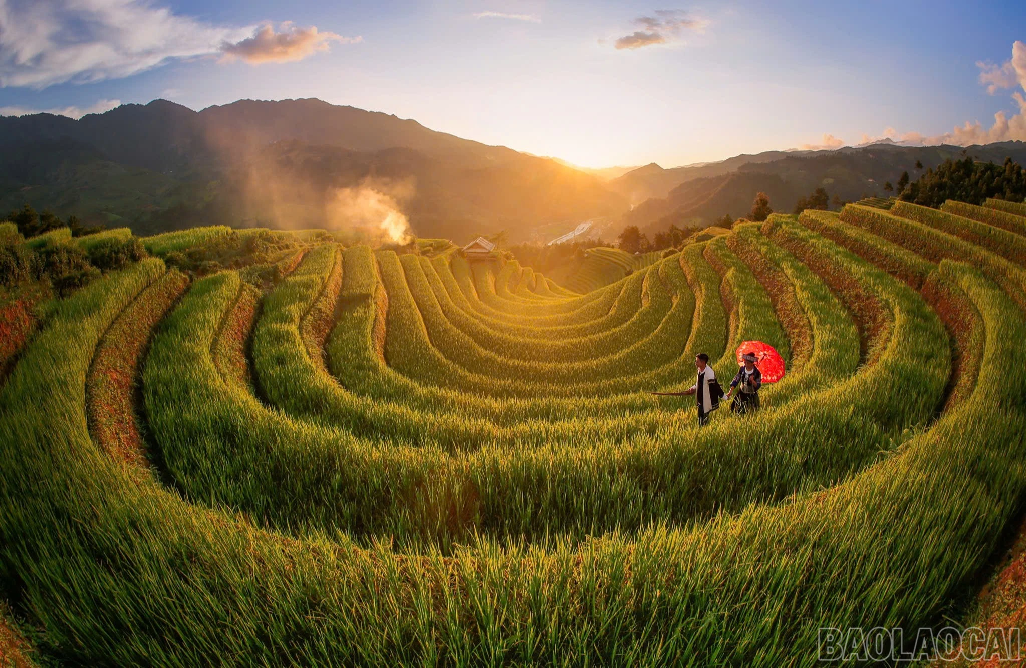 baolaocai-br_z7196675504538-8e60546d81af884ce9faa09bc0315fc4.jpg
