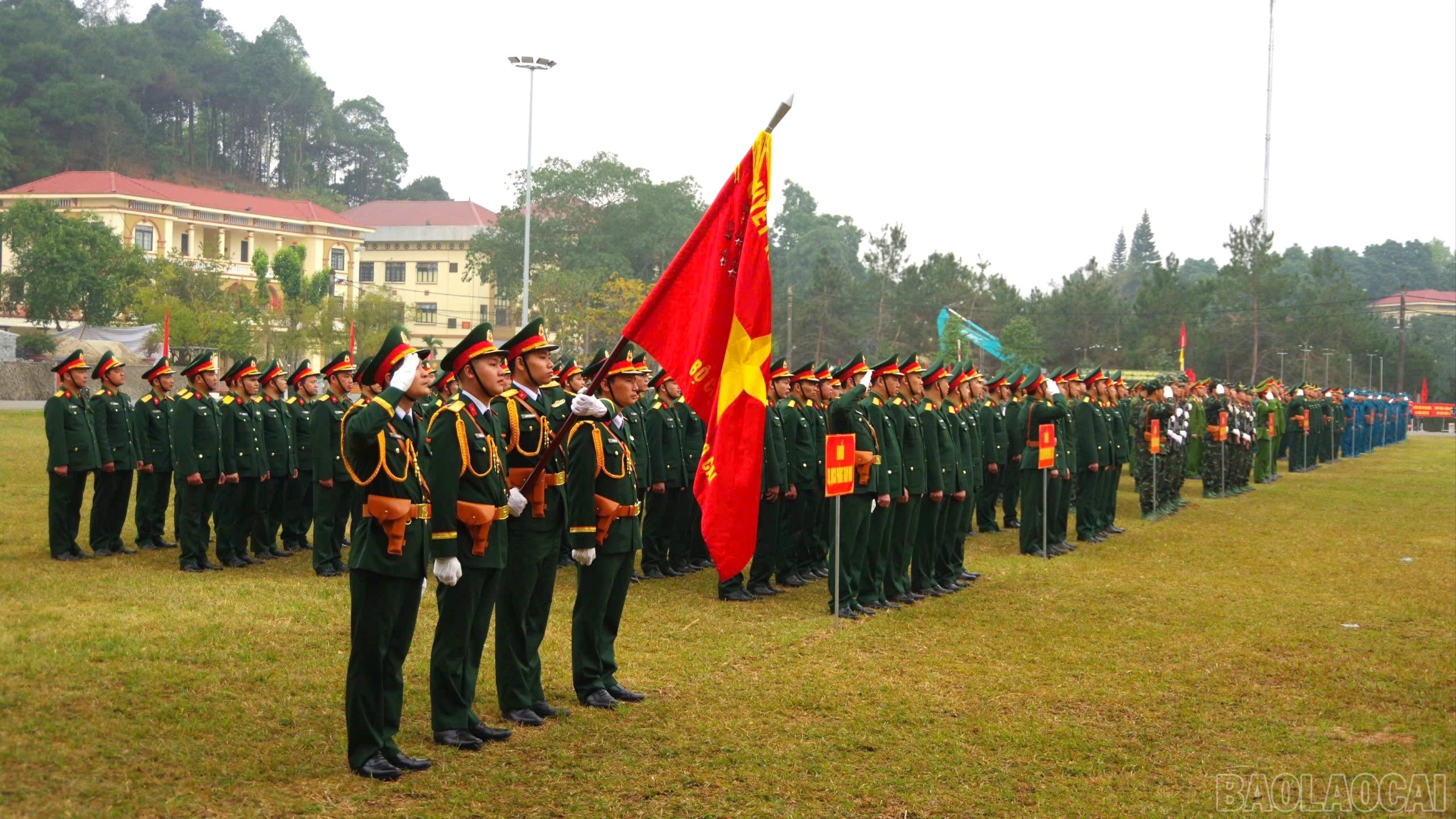 2-5495.jpg