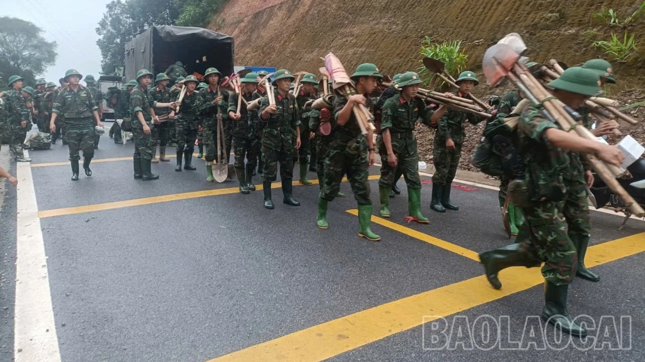mo-vang-1567.jpg