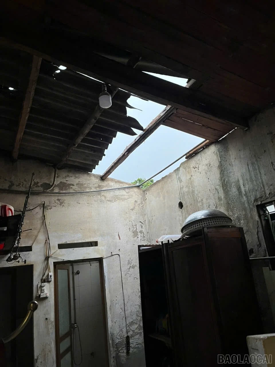 baolaocai-br_z7730123670559-77e274e85b6f88920730021197bd6a30.jpg
