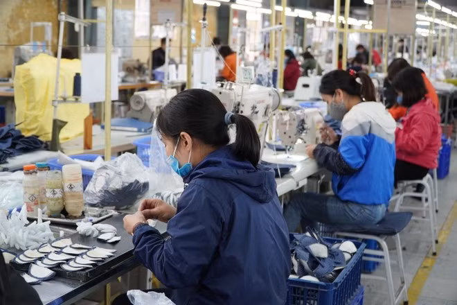 Sản xuất giày da xuất khẩu tại Công ty Trách nhiệm hữu hạn Hóa Dệt Hà Tây.