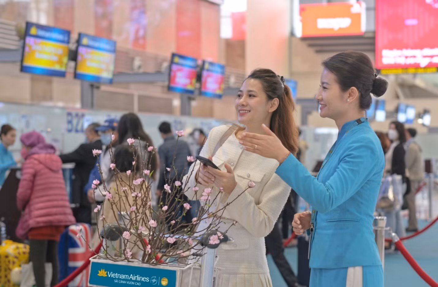 Hàng không Việt Nam tăng thêm hơn 650.000 chỗ Tết Ất Tỵ 2025.
