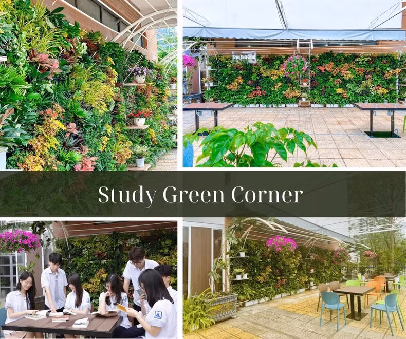Thư viện xanh Study Green Corner của Trường chuyên Hà Nội - Amsterdam.
