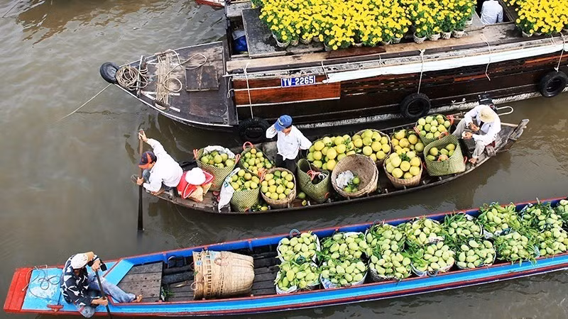 Hoạt động mua bán trái cây ở miệt vườn sông nước Nam Bộ luôn hấp dẫn du khách.