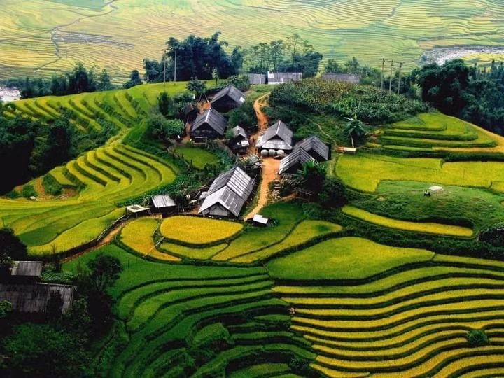 Bản Tả Phìn nằm giữa những thửa ruộng bậc thang uốn lượn đẹp mắt.