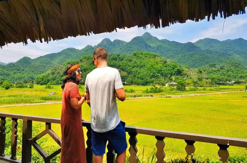 Du khách chiêm ngưỡng vẻ đẹp những cánh đồng lúa tại Mai Châu, Hoà Bình trong khuôn khổ tour du lịch sinh thái xuyên 3 tỉnh Hoà Bình - Thanh Hoá - Ninh Bình.