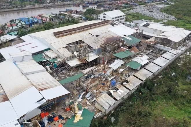 Tổng cục thuế tăng cường triển khai hỗ trợ về miễn giảm, thuế cho đối tượng bị tổn thất do bão lũ.