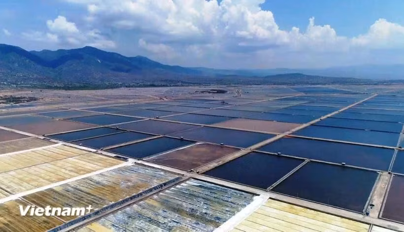 Điểm nhấn quan trọng của dự thảo là các ưu đãi cho doanh nghiệp đầu tư vào nông nghiệp, nông thôn.