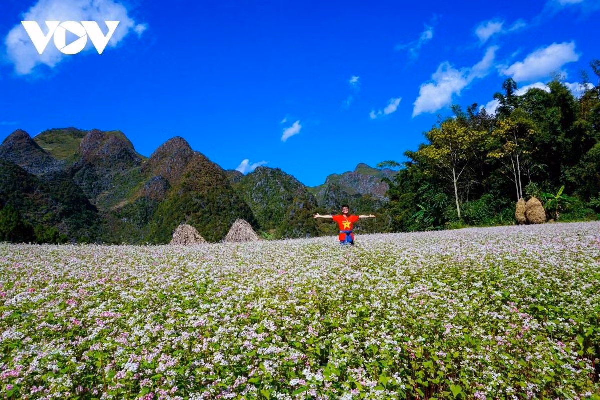 Du khách tại cánh đồng hoa tam giác mạch Hà Giang.